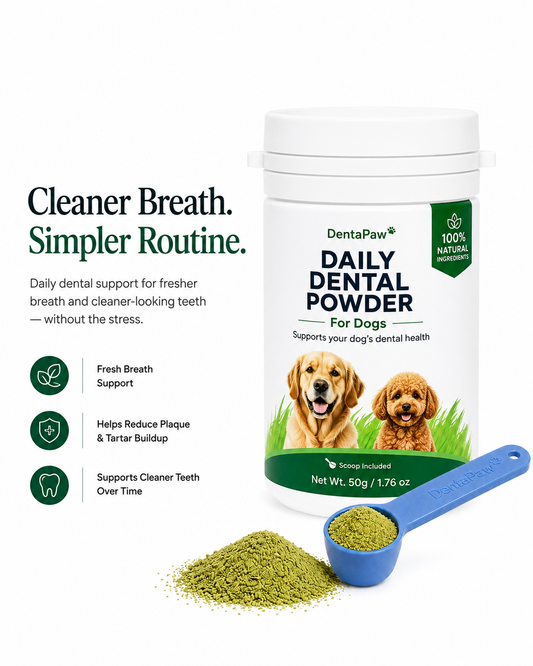 DentaPaw — Daily Dental Support Powder for Dogs